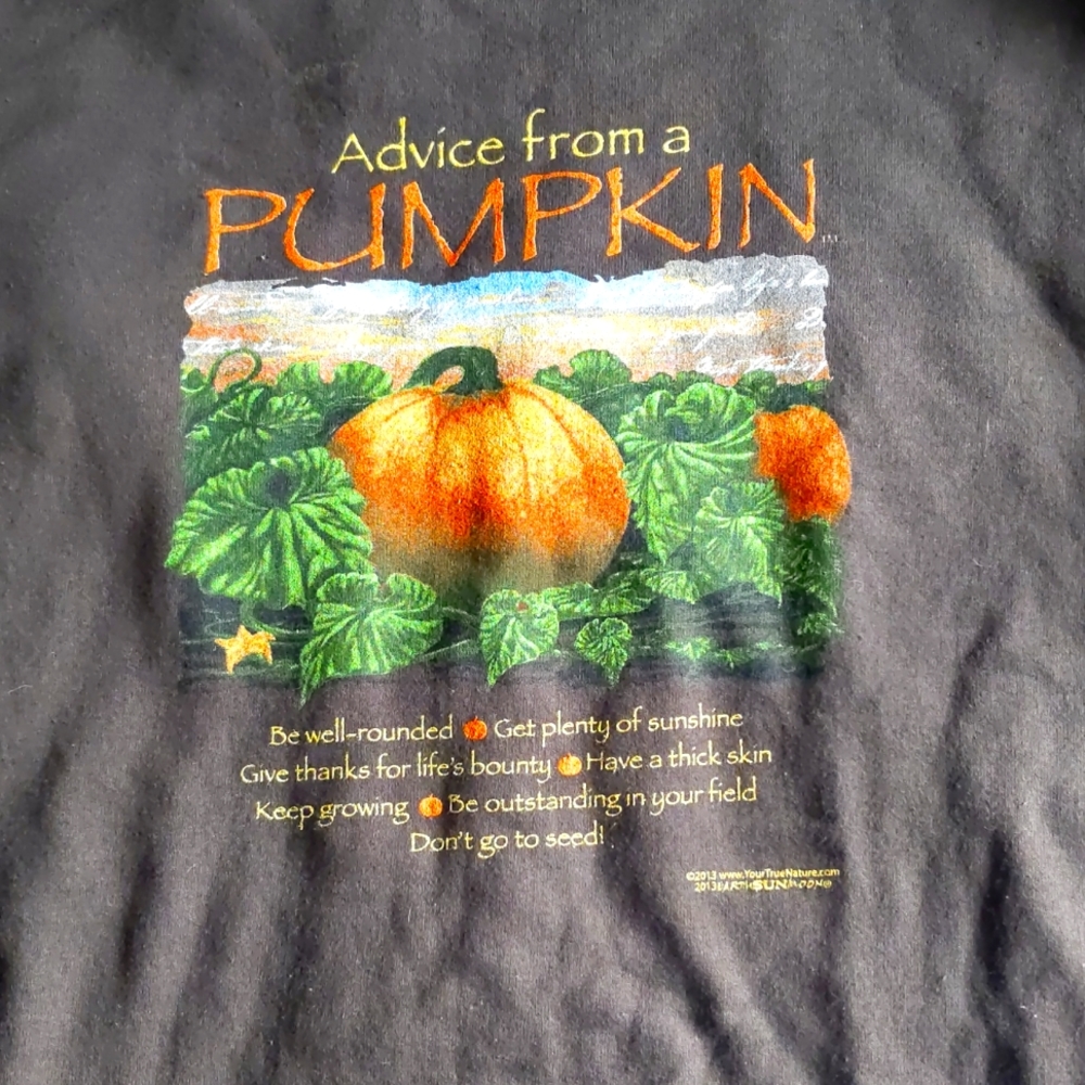 Sweatshirt advice from a pumpkin